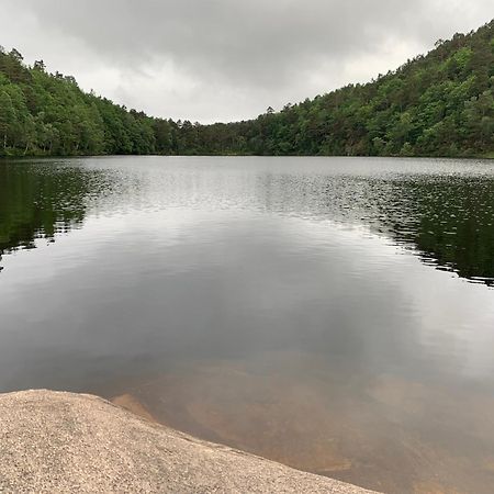 Velkommen Til En Koselig Leilighet Pa Sorlandet! Kristiansand Dış mekan fotoğraf